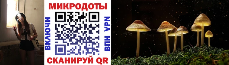 купить   Мантурово  Псилоцибиновые грибы GOLDEN TEACHER 